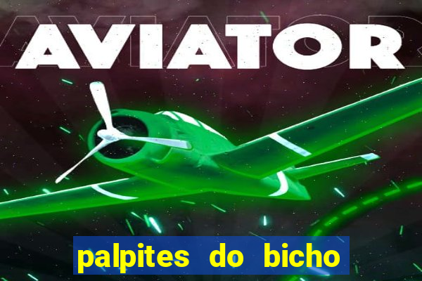 palpites do bicho no celular