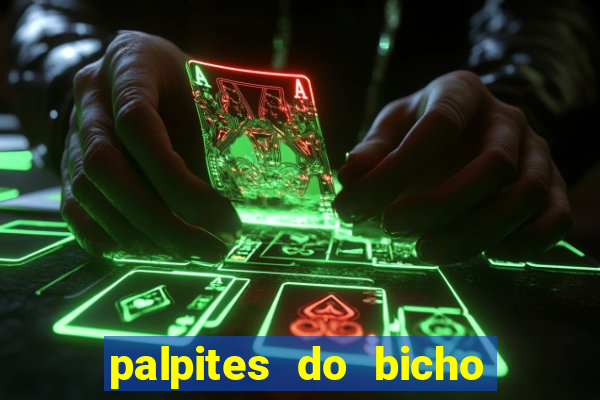 palpites do bicho no celular