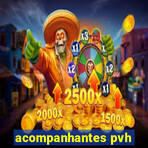 acompanhantes pvh