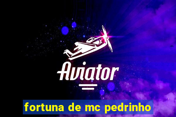 fortuna de mc pedrinho