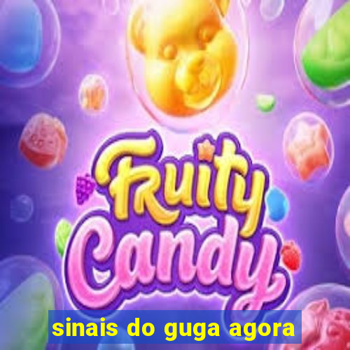 sinais do guga agora