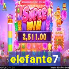 elefante7