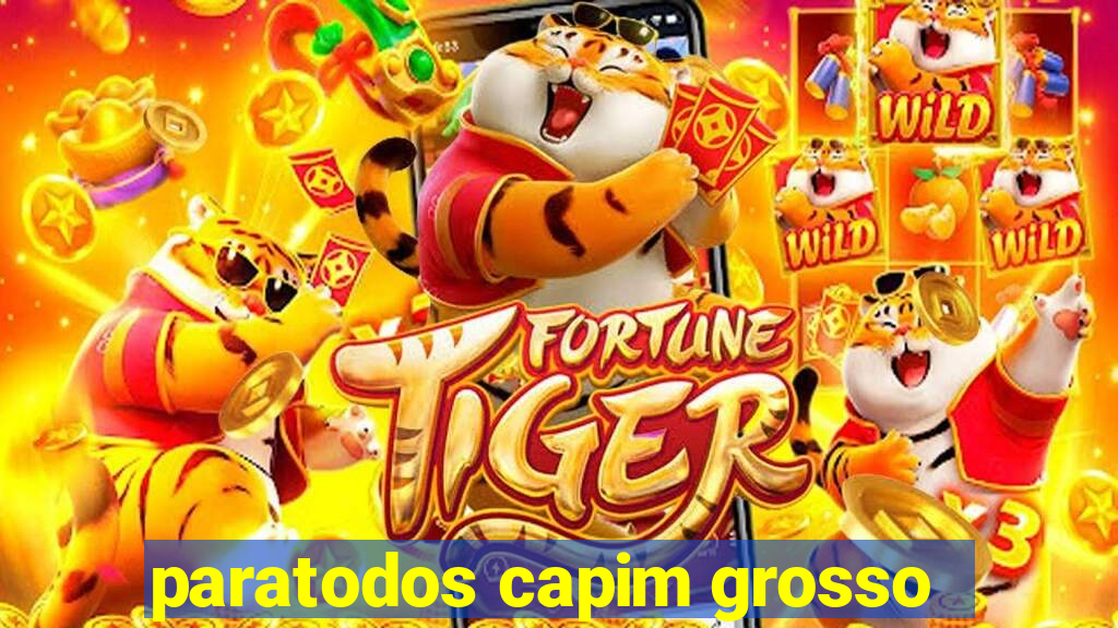 paratodos capim grosso