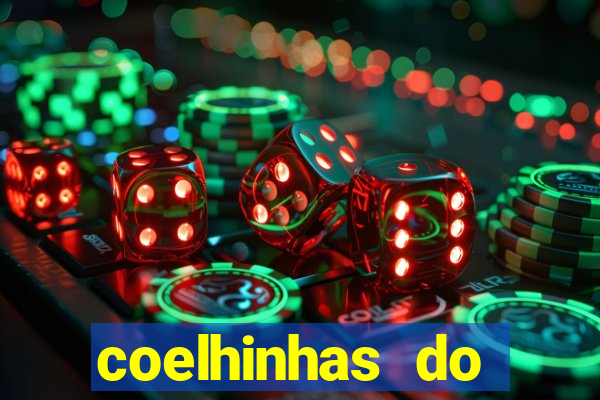 coelhinhas do brasil acompanhantes