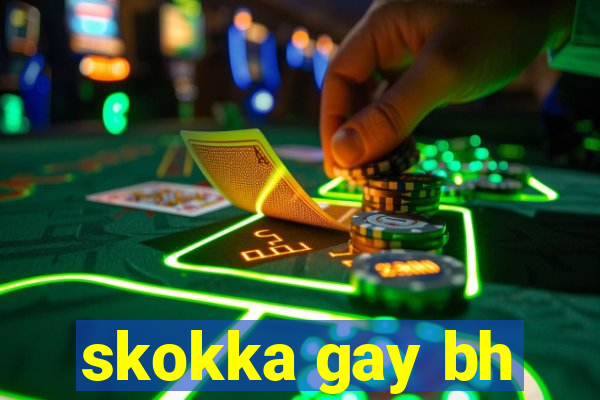 skokka gay bh