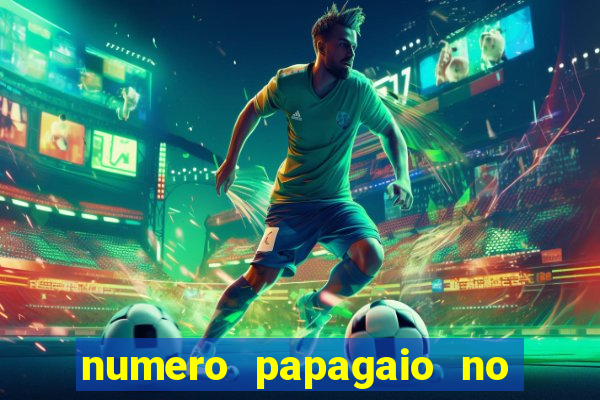 numero papagaio no jogo do bicho