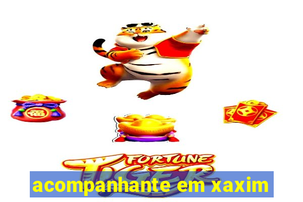 acompanhante em xaxim