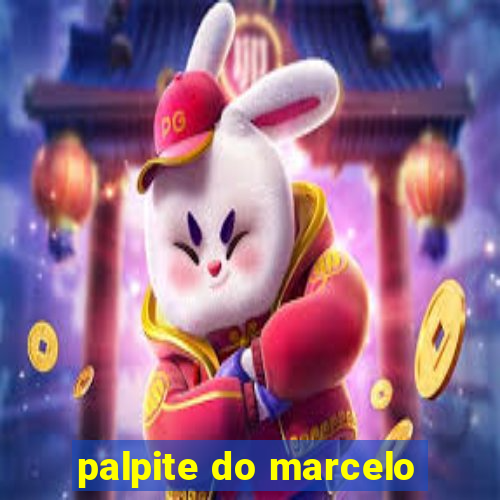 palpite do marcelo