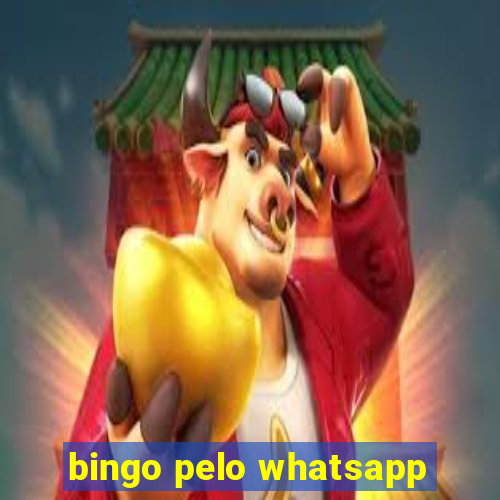 bingo pelo whatsapp