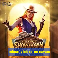 milhar viciada do cavalo