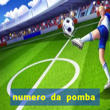 numero da pomba jogo do bicho