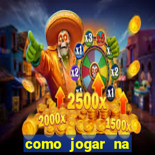 como jogar na seninha online