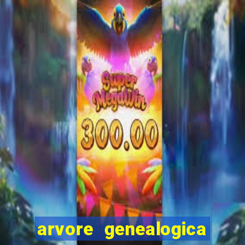 arvore genealogica dos gracie