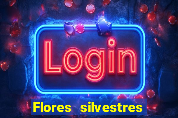 Flores silvestres brasileiras 25