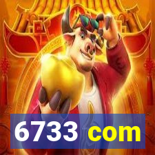 6733 com