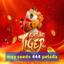 mayseeds 444 pelada