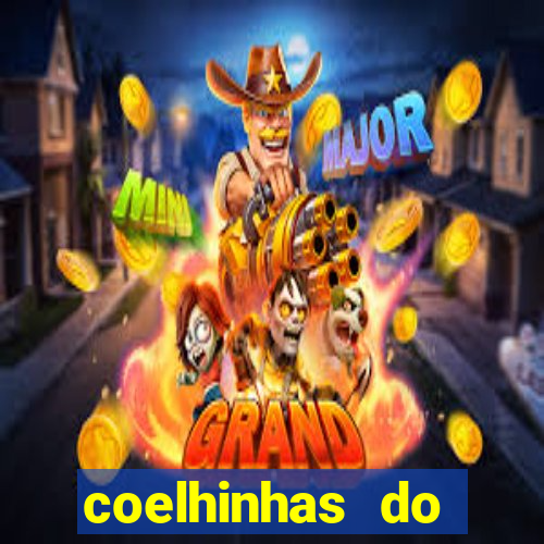 coelhinhas do brasil site