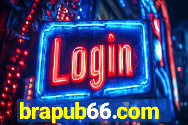 brapub66.com