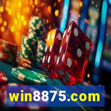 win8875.com