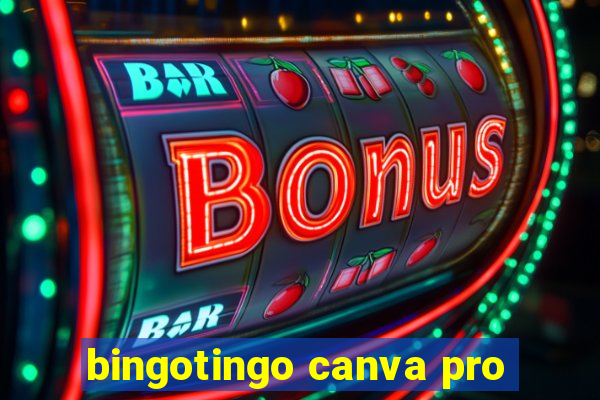 bingotingo canva pro