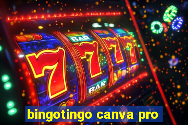 bingotingo canva pro