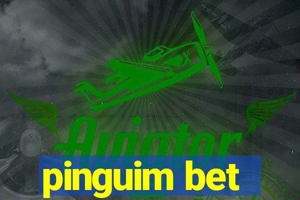 pinguim bet