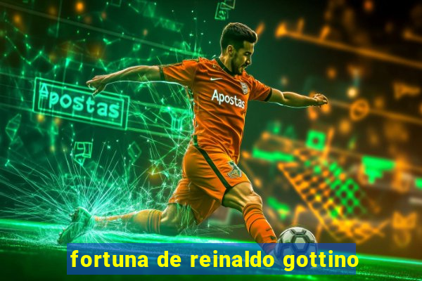 fortuna de reinaldo gottino