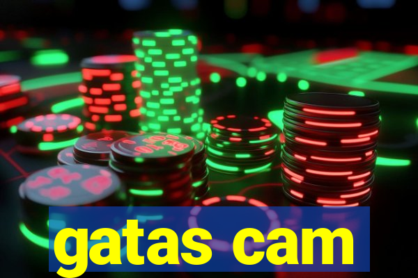 gatas cam