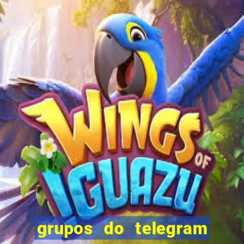 grupos do telegram mais de 18