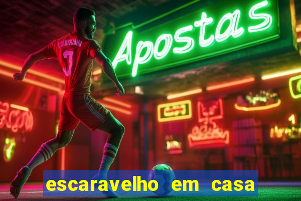 escaravelho em casa significado espiritual