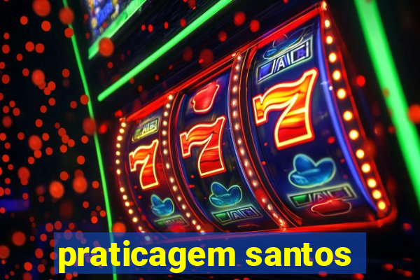 praticagem santos