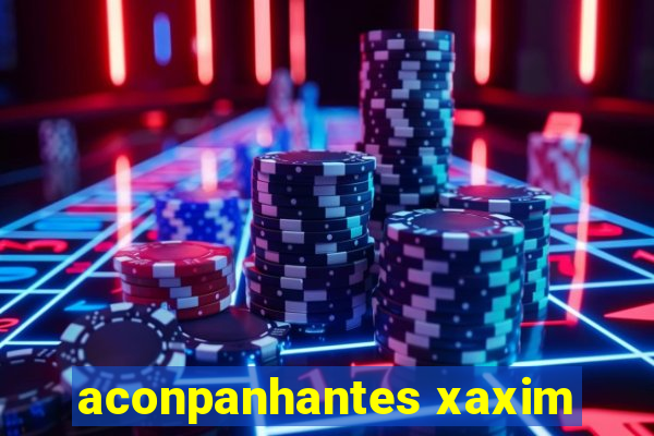 aconpanhantes xaxim