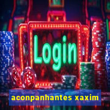 aconpanhantes xaxim