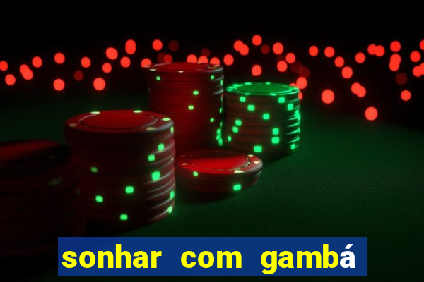 sonhar com gambá jogo do bicho