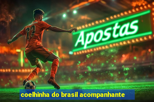 coelhinha do brasil acompanhante