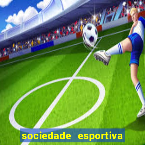 sociedade esportiva palmeiras x botafogo futemax