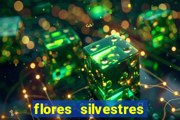 flores silvestres desbravadores desbravadores 25