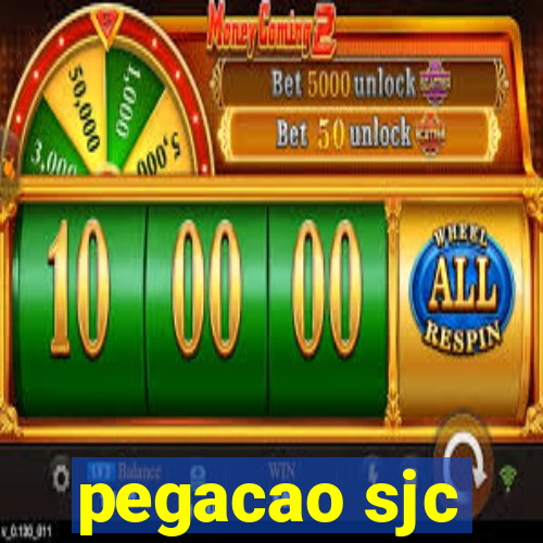 pegacao sjc