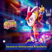 besouro rinoceronte brasileiro