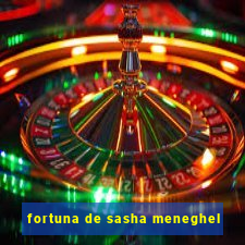 fortuna de sasha meneghel