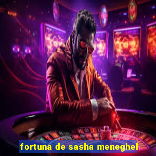 fortuna de sasha meneghel