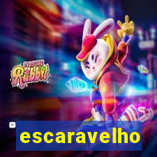 escaravelho significado espiritual