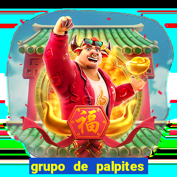 grupo de palpites de futebol telegram