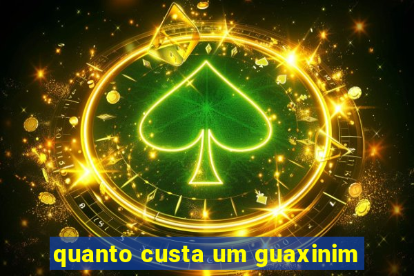 quanto custa um guaxinim