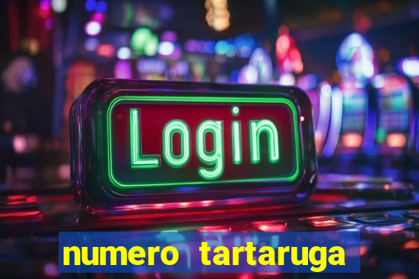 numero tartaruga jogo do bicho