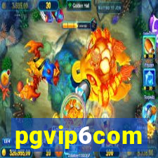 pgvip6com