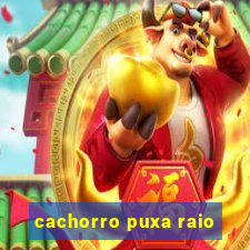 cachorro puxa raio