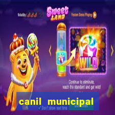 canil municipal porto alegre