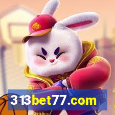 313bet77.com