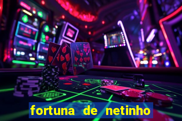 fortuna de netinho de paula